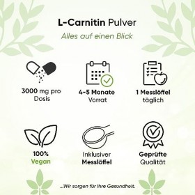 L-Carnitine Pure 400 g | poudre pure sans additifs | 133 portions 3000 mg de poudre de carnitine | 100% tartrate de L-carniti