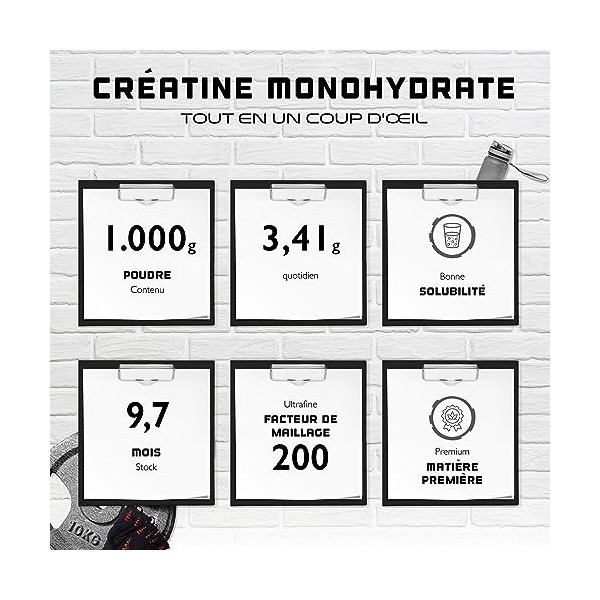 Créatine en poudre - 1kg / 1000 g - pure monohydrate - Solubilité optimale - Vegan - Sans additifs - German Elite Nutrition