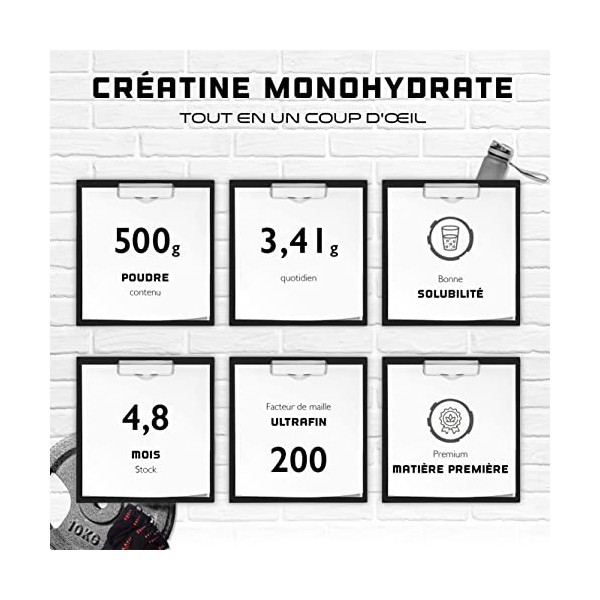 Poudre de Créatine - 500 g - Créatine pure monohydrate - Solubilité optimale - Vegan - Sans additifs - Pure Powder - German E