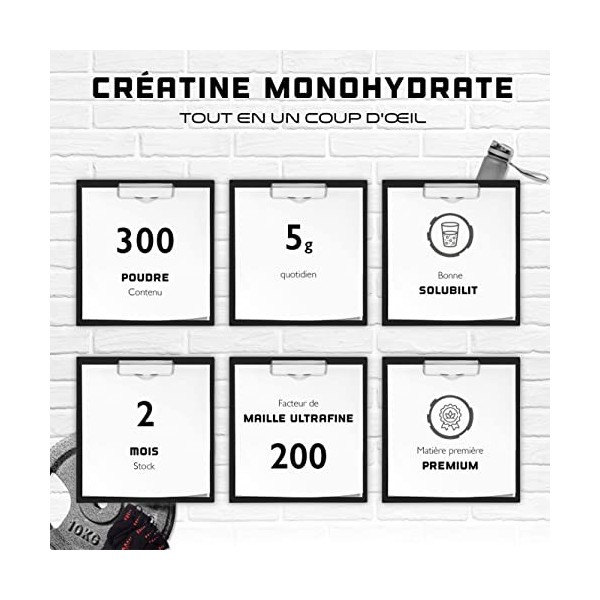 Poudre de Créatine - 300 g - Créatine pure monohydrate - Solubilité optimale - Vegan - Sans additifs - Pure Powder - German E