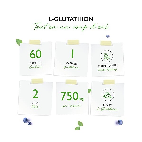 L-Glutathion avec 750 mg par gélule - Premium : glutathion réduit & bioactif issu de la fermentation - 60 gélules - fortement