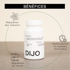 DIJO - L-Glutamine - Acide Aminé Renforce la Paroi Intestinale - Made in France Vegan Gluten Free Sans Lactose - 60 Gélules C