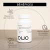 DIJO - L-Glutamine - Acide Aminé Renforce la Paroi Intestinale - Made in France Vegan Gluten Free Sans Lactose - 60 Gélules C