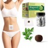 Mugwort Navel Sticker, autocollant de nombril darmoise, Natural Herbal Chinese Medicine Belly Sticker, Healthy Detox Pellet,