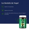 Laboratoires Ilapharm - NOPAL BIO - Absorption des graisses et des sucres - Flacon de 60 gélules