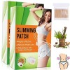 Camic Patch amincissant pour le ventre, parfait patch détox amincissant, remède antique, efficace et sain pour femmes et homm