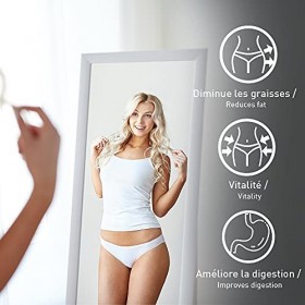 ARTI DETOX - Detox Minceur grâce à lArtichaut - Action drainante, Diminution des graisses, Confort digestif - Goût Orange -