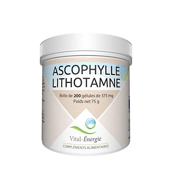 Vital-Energie Ascophylle/Lithotamne 200 gélules