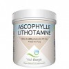 Vital-Energie Ascophylle/Lithotamne 200 gélules