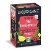 BIORIGINE - Thé Brûle Graisse Sachets 32G - Lot De 3