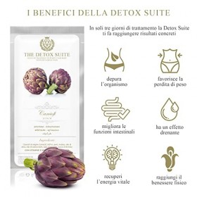 THE DETOX SUITE - Programme de purification du corps de 3 jours avec 9 repas. Kit purification, drainage, minceur, améliore l