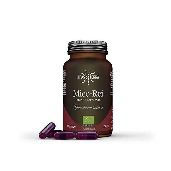 Mico-rei Bio 70 Gelules Hifas da Terra