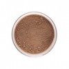 Stargazer Poudre en Vrac Body Glow