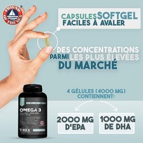 Omega 3 Huile de Poisson FOS 90 Gélules 1000 mg - Haute Concentration EPA 500 mg DHA 250 mg - Oméga-3 Issus de Pêche Durable 