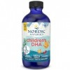 Nordic Naturals, Childrens DHA, 530mg dOméga-3 dHuile de Foie de Morue, Arôme Fraise, avec EPA et DHA, 119ml, Testé en Lab