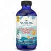 Nordic Naturals, Childrens DHA, 530mg dOméga-3 dHuile de Foie de Morue, Arôme Fraise, avec EPA et DHA, 237ml, Testé en Lab