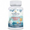 Nordic Naturals, Childrens DHA, 250mg dOméga-3 dHuile de Foie de Morue, Arôme Fraise, avec EPA et DHA, 360 Capsules molles