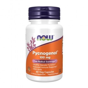 Pycnogenol, 100mg - 60 veg caps