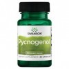 Swanson, Pycnogenol, 100mg, Extrait dÉcorce de Pin, Haute Dosé, 60 Capsules, Testé en Laboratoire, Sans Soja, Sans Gluten, S