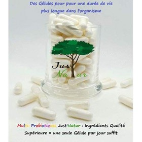 Plus de 60 Milliards dUFC par jour Multi-Souches-10 Souches Bio Actives dont 7 Lactobacillus-Ingrédients Qualité Supérieure-