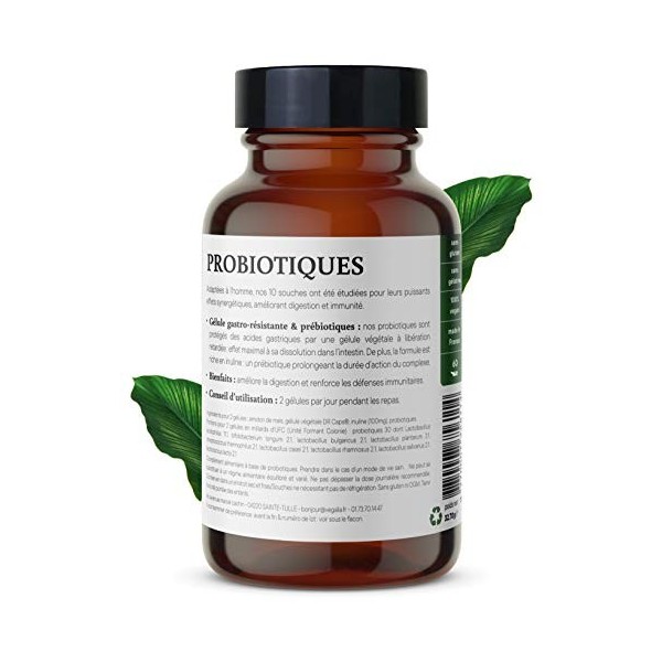 Probiotiques 100% Français – 1ère Formule 360 aux multiples bienfaits, 10 souches bio-actives véganes et gélules gastro-résis