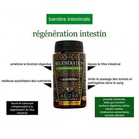 ALZIA - Régénération Intestin - 90 Gélules Végétales - Améliore La Fonction Digestive - Sans Conservateurs - Sans OGM - Sans 