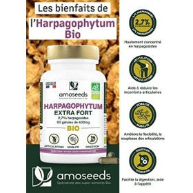 Harpagophytum BIO, Extra Fort | 3000mg par jour, 2,7% Harpagosides | Articulations, Tendons, Mobilité | Griffes du Diable | 6
