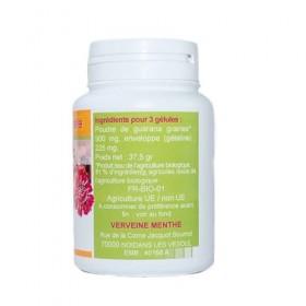 GELULES GUARANA 100 gélules dosées à 300 mg poudre pure.