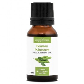 BOULEAU PUBESCENT - 15mL - Macérat de bourgeons BIO