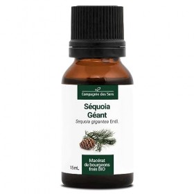 SÉQUOIA GÉANT - 15mL - Macérat de bourgeons BIO