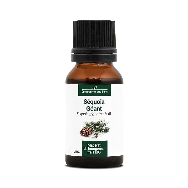 SÉQUOIA GÉANT - 15mL - Macérat de bourgeons BIO