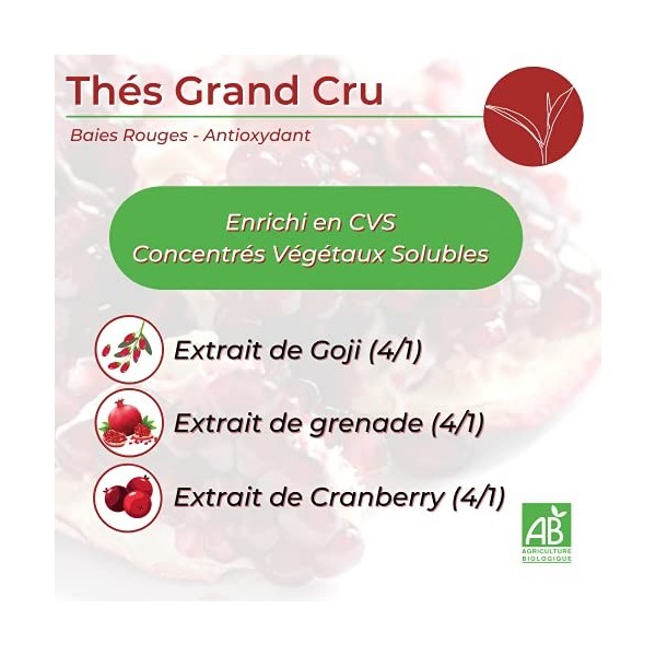 THÉ VERT BIO ANTIOXYDANT • Thé Grand Cru Bio • Enrichi en Concentrés Végétaux Solubles CVS : Goji, Grenade, Cranberry Bio •