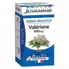 Juvamine Valériane 50 Gélules