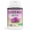 Herbes Et Plantes Chardon Marie Bio 200 Gélules 300 mg
