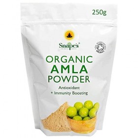 Poudre DAmla Biologique 250g