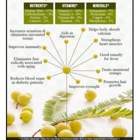 Poudre DAmla Biologique 250g