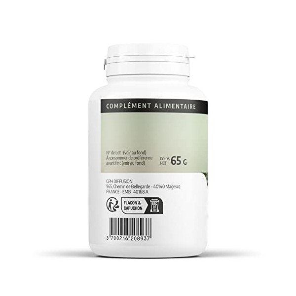 Armoise 250 mg - 200 gélules - Orgaliane