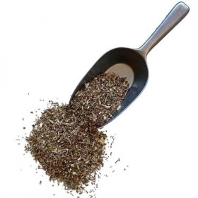 Tisane Salicaire plante 250 GRS Lithrum salicaria.