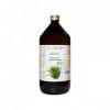 GPH Diffusion - ALOE VERA PUR JUS BIO AB 500 ml.