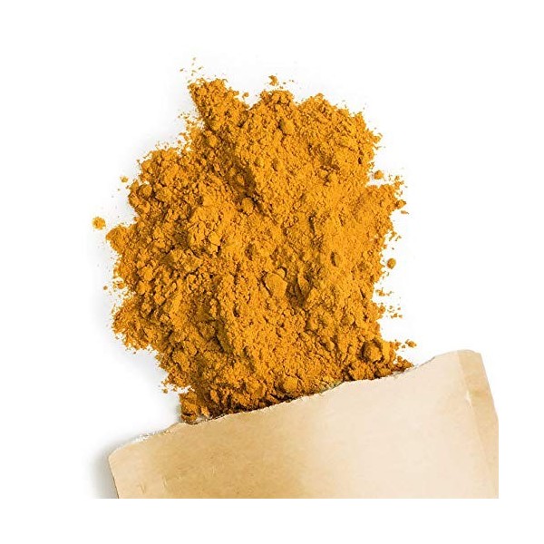 Terra Elements Curcuma bio en poudre 200 g I 100% pure I vegan I qualité crue