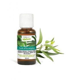 Direct Nature - Foret DEucalyptus 30Ml