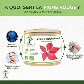 Vigne rouge Bio - Complément alimentaire Bioptimal - Jambes Lourdes Peau Saine Circulation Sanguine Hémorroïdes - 300 mg de F
