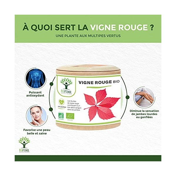 Vigne rouge Bio - Complément alimentaire Bioptimal - Jambes Lourdes Peau Saine Circulation Sanguine Hémorroïdes - 300 mg de F