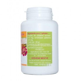 GELULES PISSENLIT racine 200 gélules dosées à 270 mg