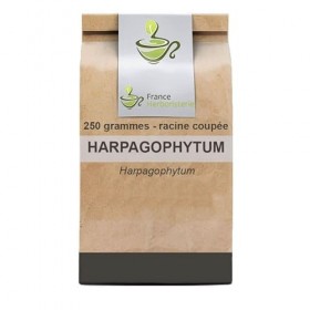 France Herboristerie Tisane Harpagophytum