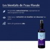 Laboratoires Ilapharm - EAU FLORALE DE BLEUET BIO - Soin des yeux - Bouteille de 200 ml