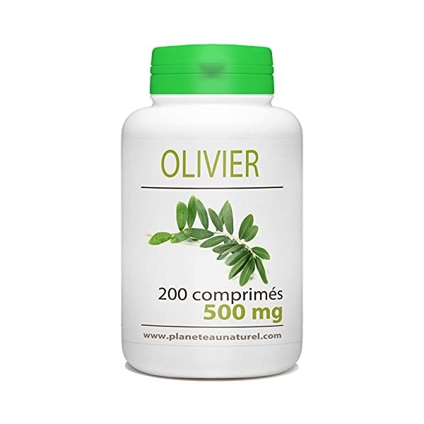 Olivier - 500 mg - 200 comprimés