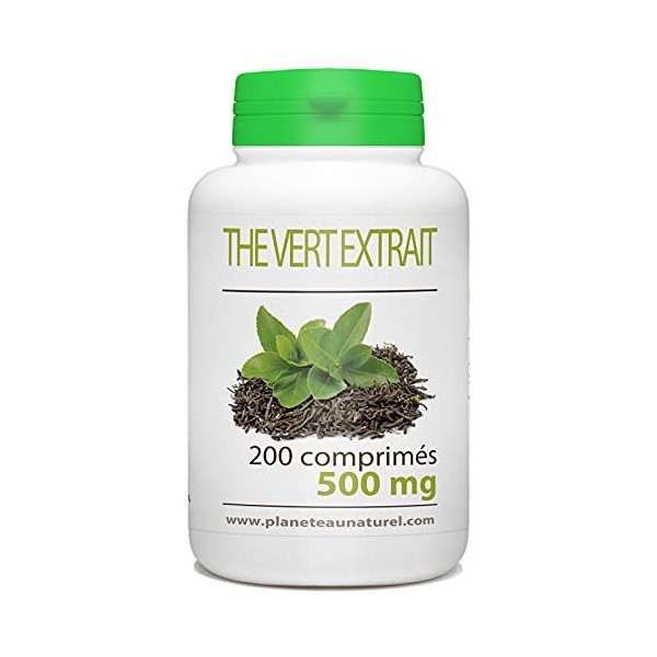 Thé Vert - 500 mg - 200 comprimés