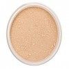 LILY LOLO Fond de Teint Minéral SPF 15 - Couleur - In the Buff - 10g