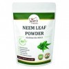 Spierb Neem Poudre 250gm - Neem Feuille Powder pour la peau, le sang et la désintoxication - Herbe ayurvédique saine 100% pur